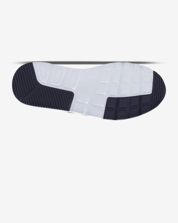 Nike Air Max SC Kadın Ayakkabı Navy/White | QYPUX6594