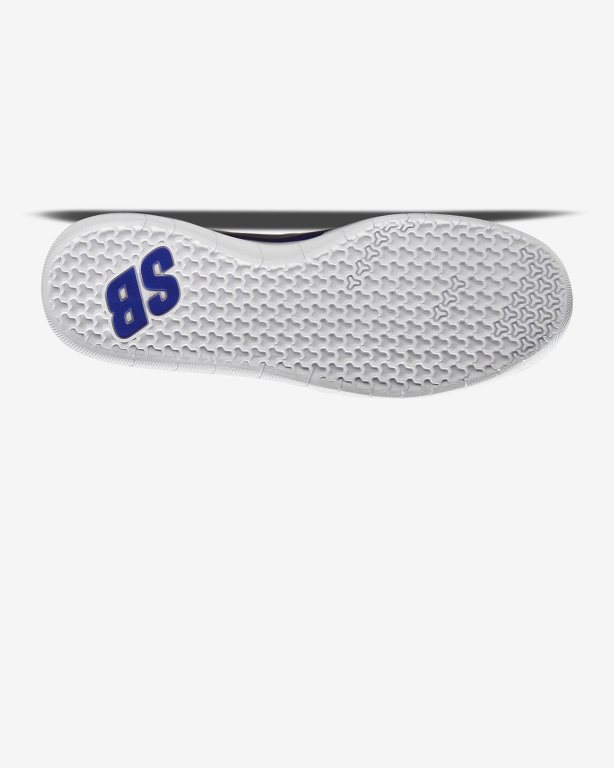 Nike SB Nyjah Free 2 Kadın Kaykay Ayakkabısı Grey/White/Silver | JDERC1350